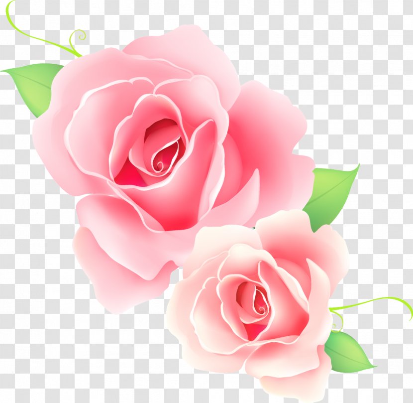 Flower Clip Art - Rose Order - Jain Transparent PNG