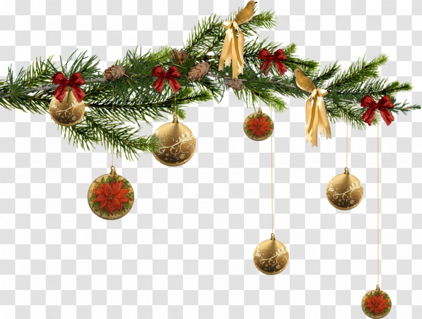 Ded Moroz Santa Claus New Year Tree Christmas - Holiday - Blog Transparent PNG