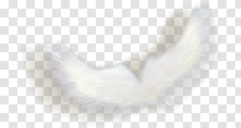Angel Photography Picture Frames Clip Art - White - Wings Transparent PNG