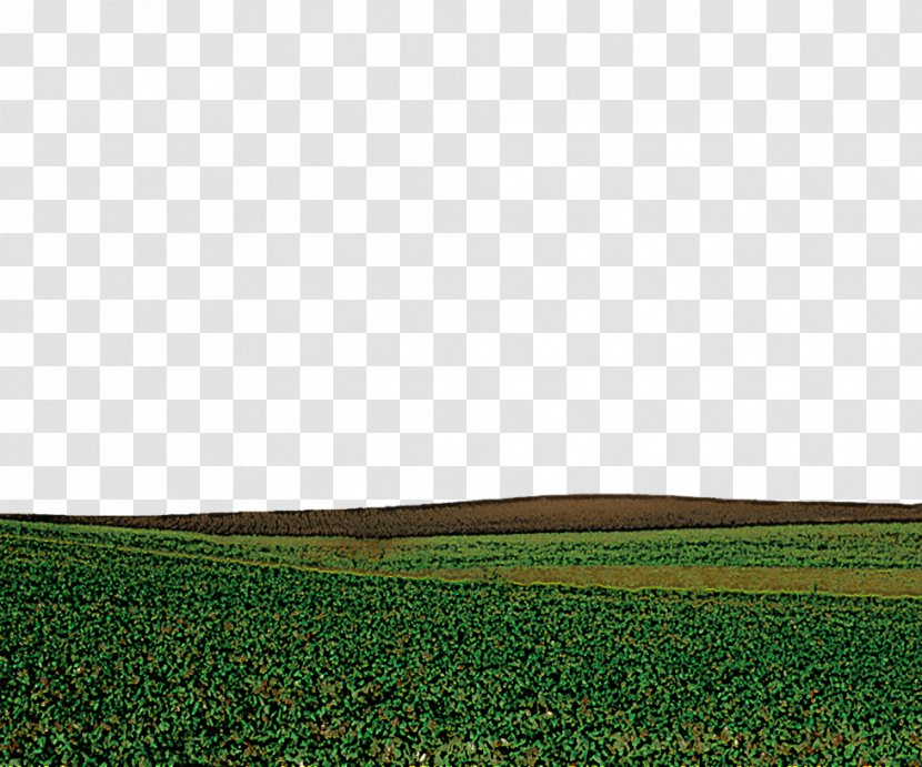 Field Green Grassland Grass Natural Environment - Farm Family Transparent PNG