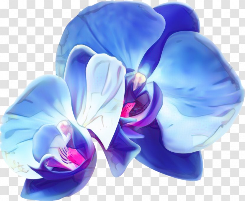 Blue Iris Flower - Violet Family - Sweet Peas Butterfly Transparent PNG