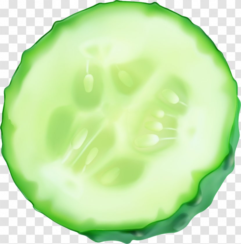 Slicing Cucumber - Melon - Vector Painted Slices Transparent PNG
