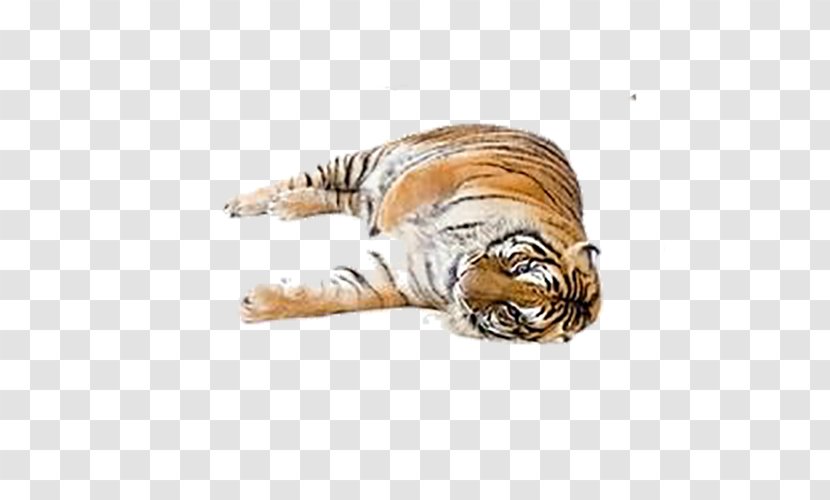 White Tiger Felidae Cat Clip Art - Fauna Transparent PNG