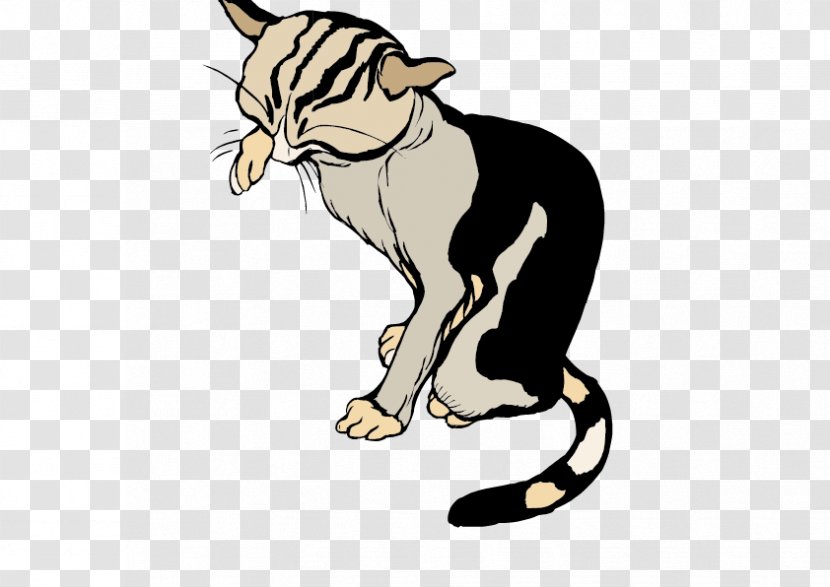 Cat Whiskers Tiger Cartoon Clip Art - Like Mammal Transparent PNG