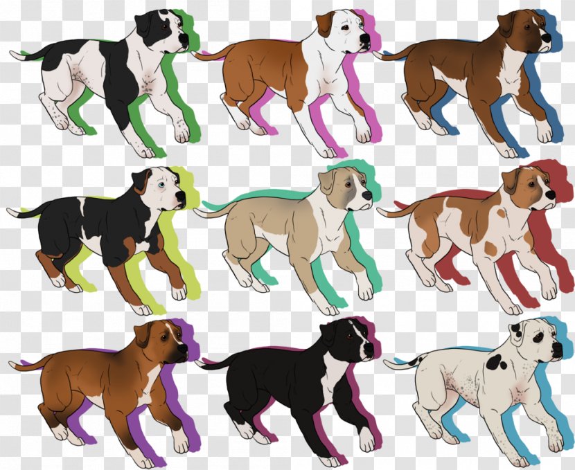 Dog Breed Puppy Chihuahua Companion American Eskimo - Pit Bull Terrier Staffordshire T Transparent PNG