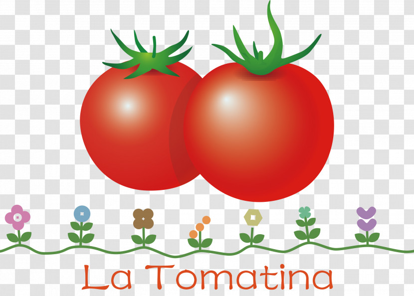 La Tomatina Tomato Throwing Festival Transparent PNG