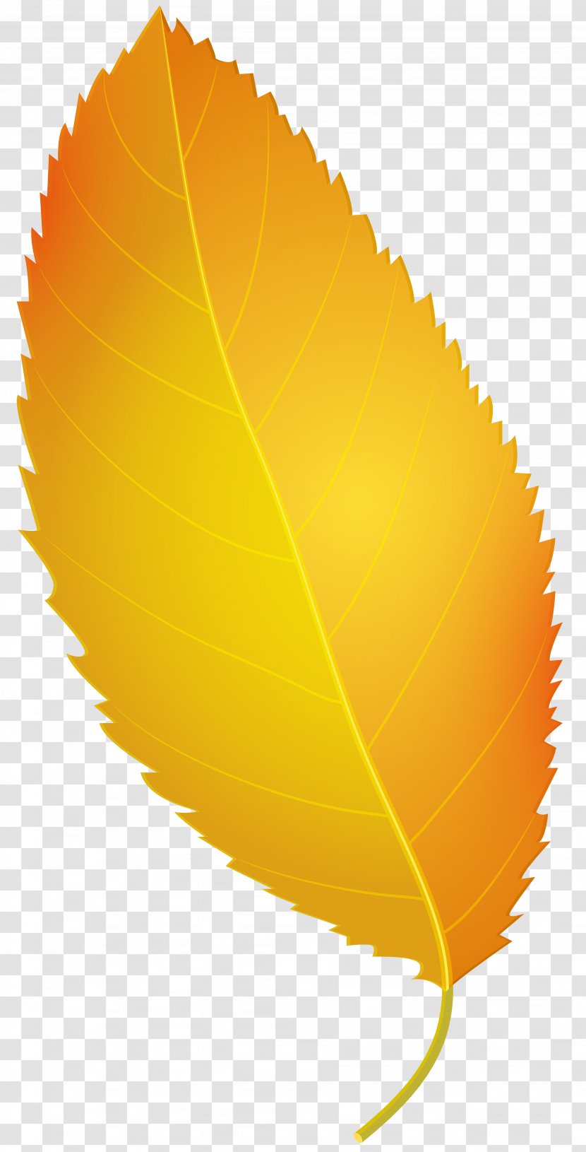 Maple Leaf Yellow Clip Art - YELLOW Transparent PNG