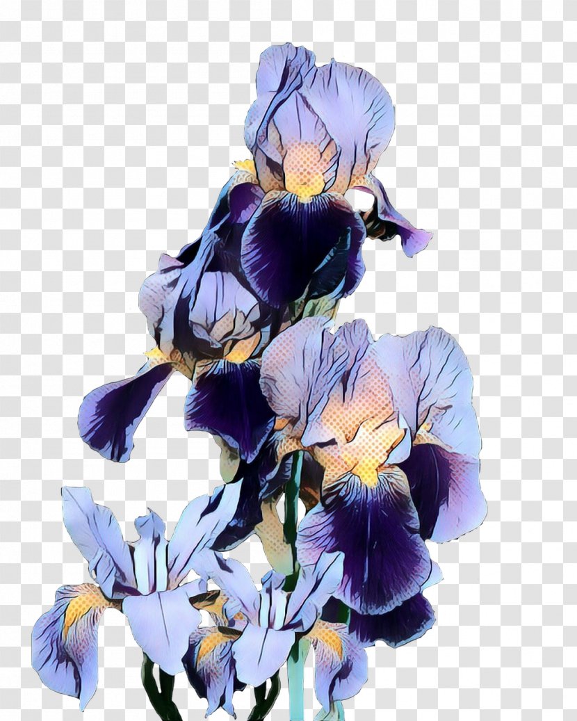 Flowers Background - Plant - Viola Wildflower Transparent PNG