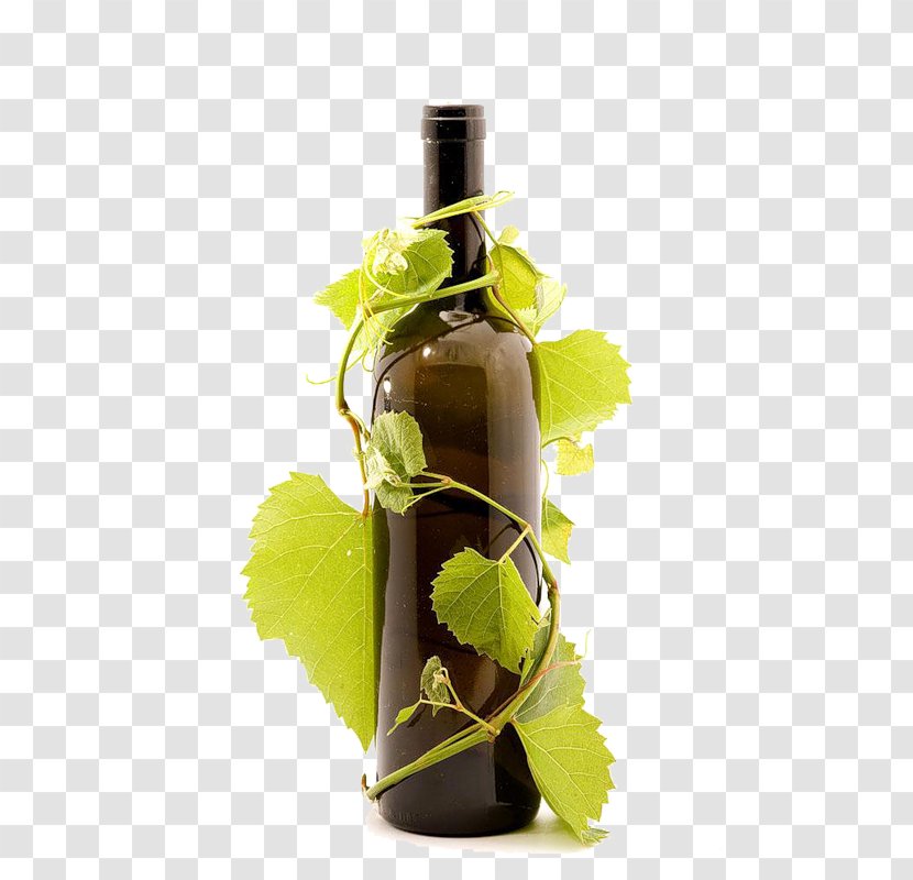 Red Wine Common Grape Vine Bottle Glass Transparent PNG