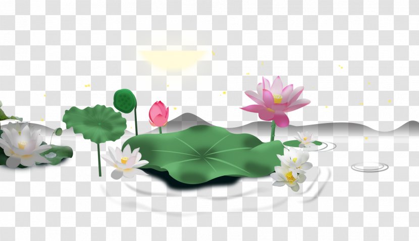 Nelumbo Nucifera Pond Download - Lotus Transparent PNG