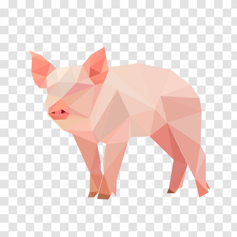 Domestic Pig Suidae Pink Boar Cartoon - Animal Figure Snout Transparent PNG