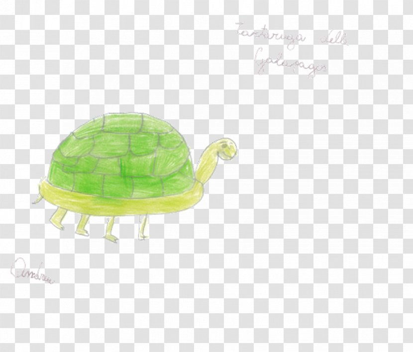 Turtle Green Plastic Transparent PNG