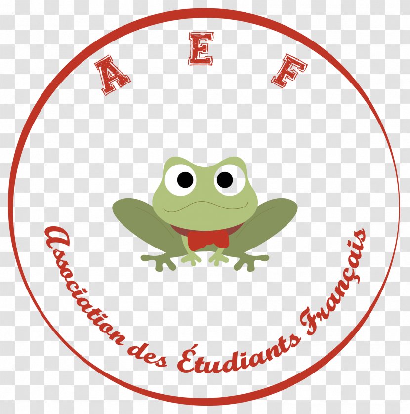 Tree Frog Clip Art Product Logo - Amphibian - Barbershop Business Transparent PNG