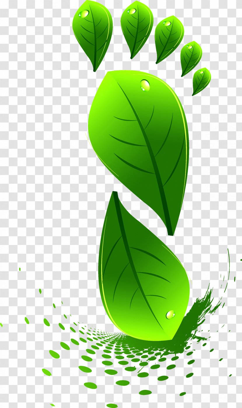 Leaf Green Euclidean Vector - Map - Leaves Footprints Transparent PNG