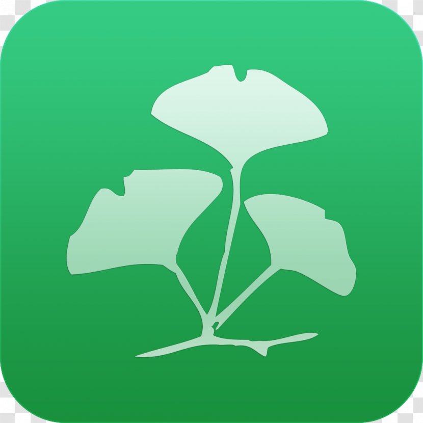 Leaf Flower Clip Art Plant Stem Tree - Organism - Androidlogo Transparent PNG