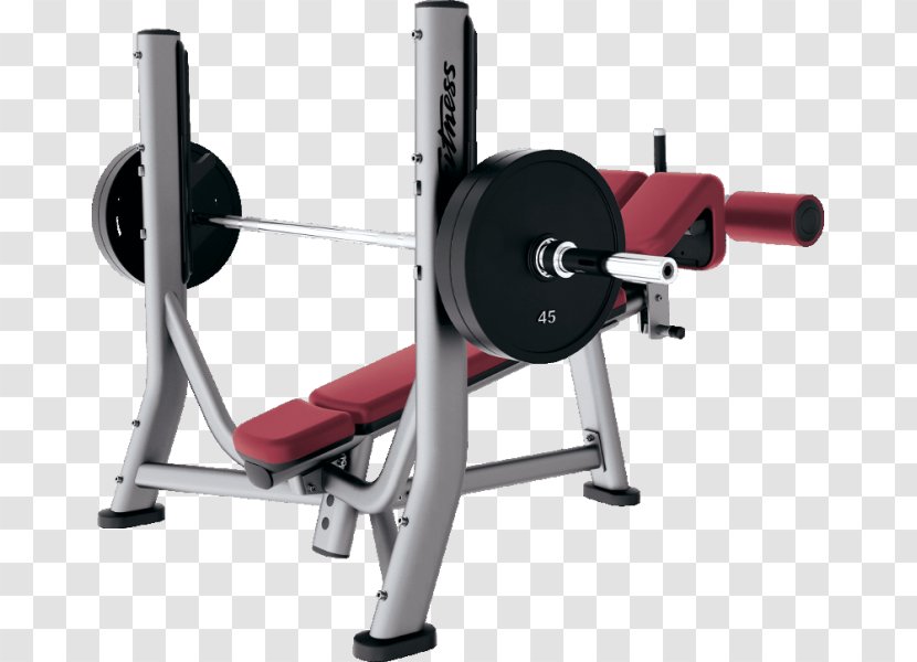 Bench Weight Training Exercise Equipment Physical Fitness Centre - Dumbbell Transparent PNG