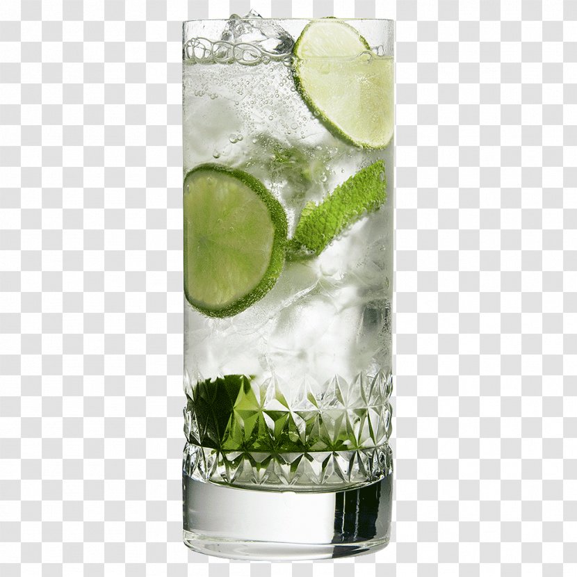 Rickey Gin And Tonic Caipirinha Highball Mojito - Cocktail Garnish - Glass Transparent PNG