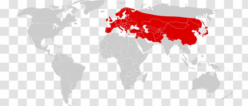 World Map Projection Gnomonic - Wikimedia Foundation Transparent PNG