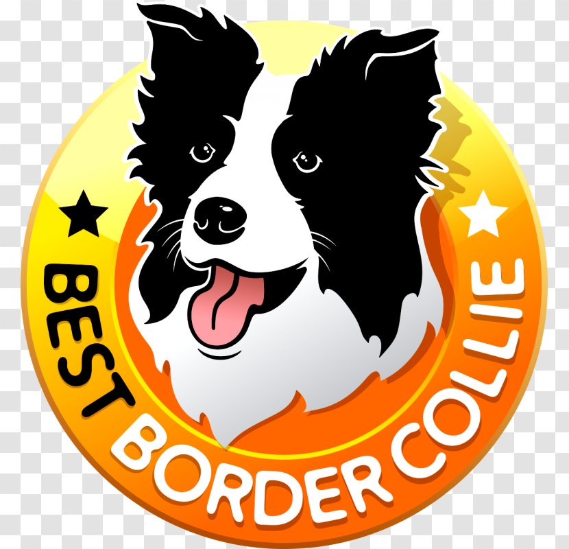 Dog Breed Border Collie Puppy Rough Curso De Adestramento - Group - Filhote Transparent PNG