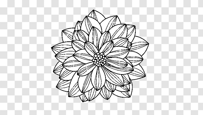 Floral Design Drawing Flower - White - Book Transparent PNG