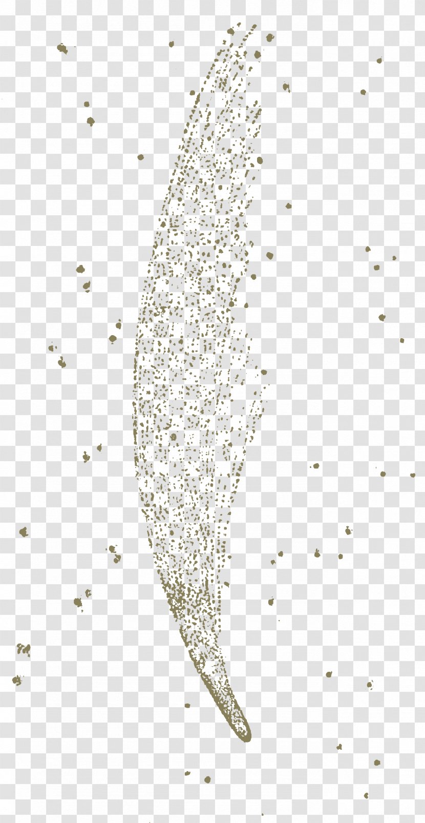 Desktop Wallpaper Sky Organism Pattern - Closeup - Comet Transparent PNG