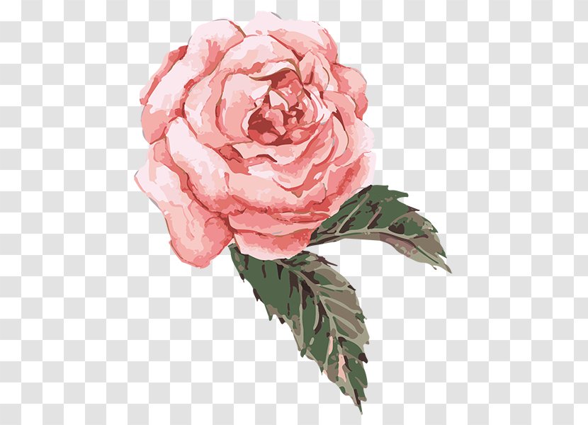 Still Life: Pink Roses Watercolor Painting - Botany Transparent PNG