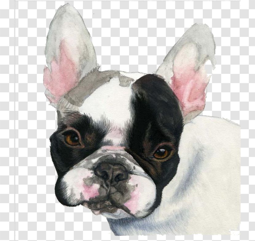 French Bulldog Puppy Watercolor Painting - Gouache - Black Transparent PNG