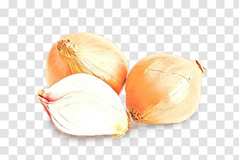 Food Vegetable Yellow Onion Shallot - Garlic - Ingredient Pearl Transparent PNG