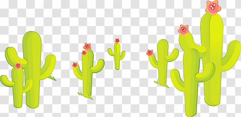 Cactus - Plant Stem - Caryophyllales Gesture Transparent PNG