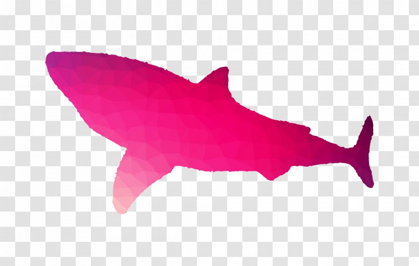 Requiem Sharks Great White Shark Art Tooth - Cartilaginous Fish Transparent PNG
