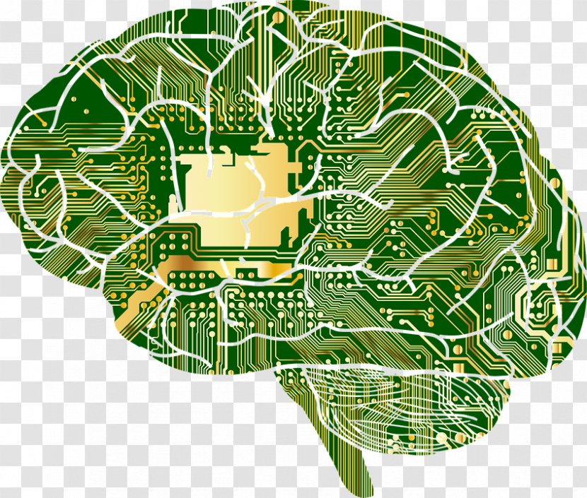 Google Brain Brainu2013computer Interface Human Skull - Watercolor - Circuit Lines Transparent PNG
