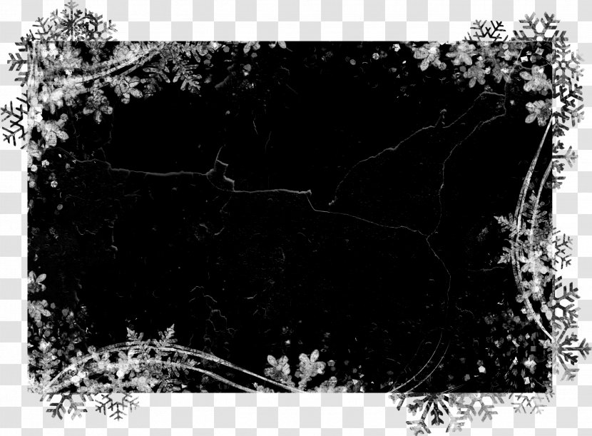 Picture Frames Mask Christmas - Photography - Decorative Transparent PNG