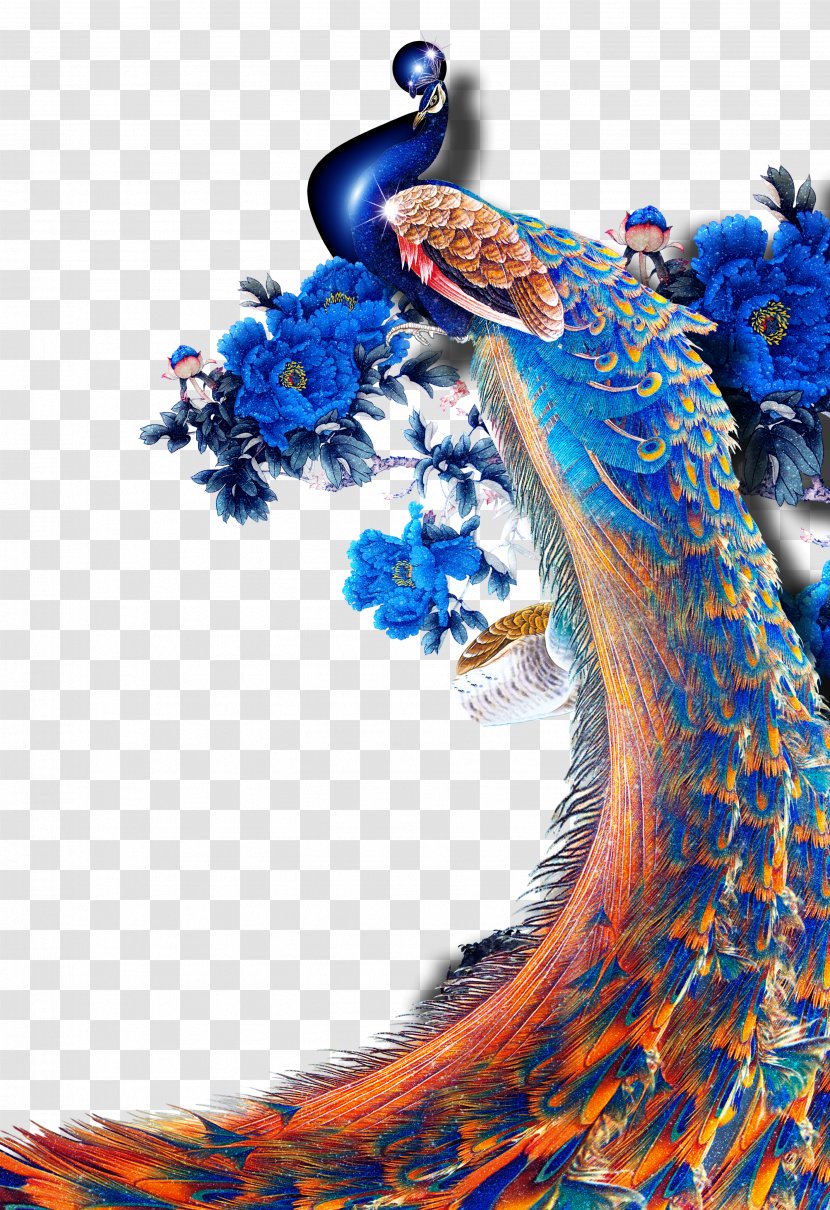 Bird Peafowl Poster Illustration - Advertising - Peacock Transparent PNG