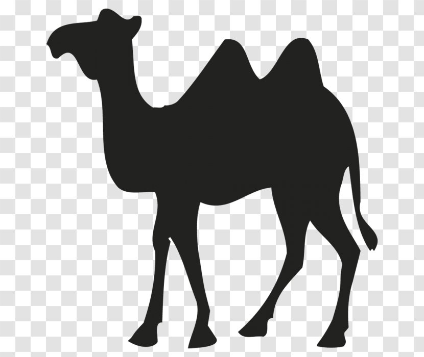 Dromedary Bactrian Camel Sticker Logo - Like Mammal - Design Transparent PNG