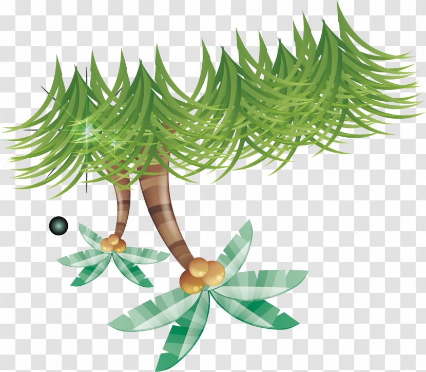 Coconut Illustration - Flora - Great Tree Background Material Transparent PNG