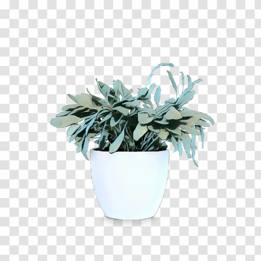 Houseplant Flowerpot - Echeveria - Plant Transparent PNG