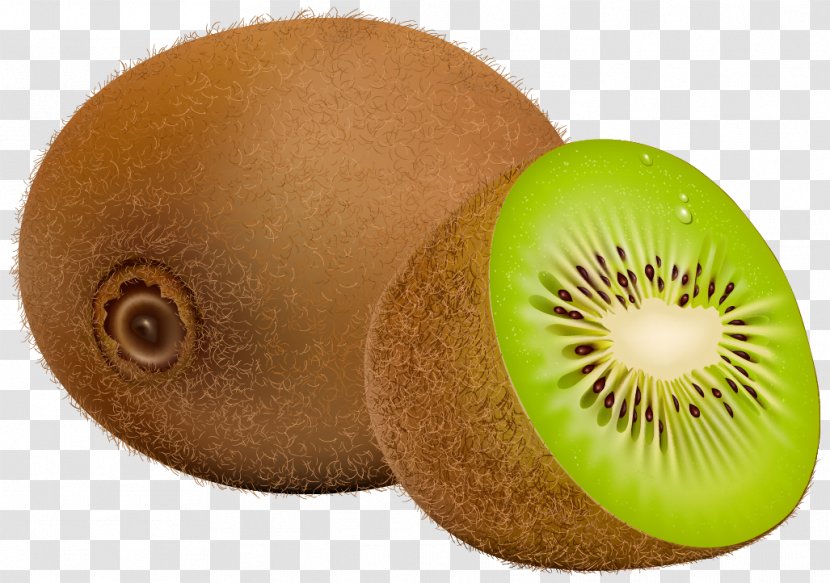 Kiwifruit Clip Art - Galia - Kiwi Transparent PNG