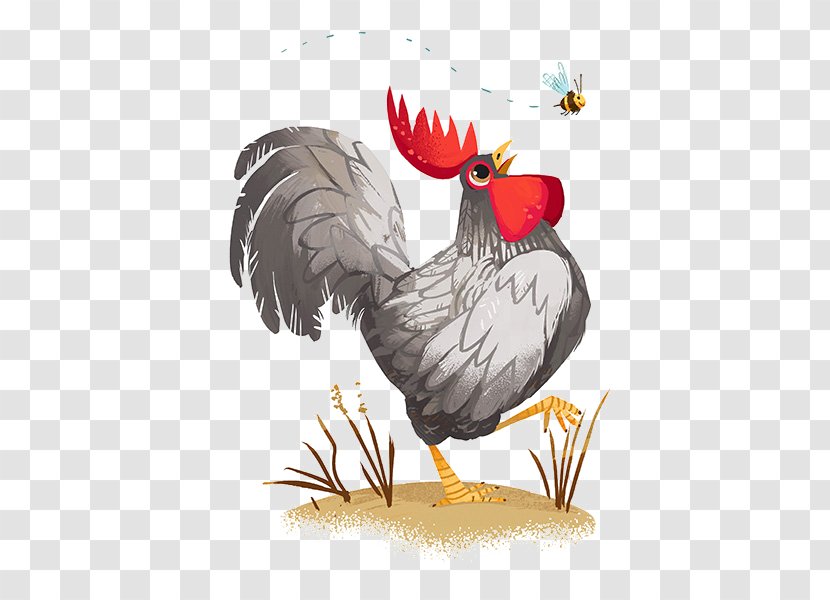 Plymouth Rock Chicken Rooster Coop Illustration Transparent PNG
