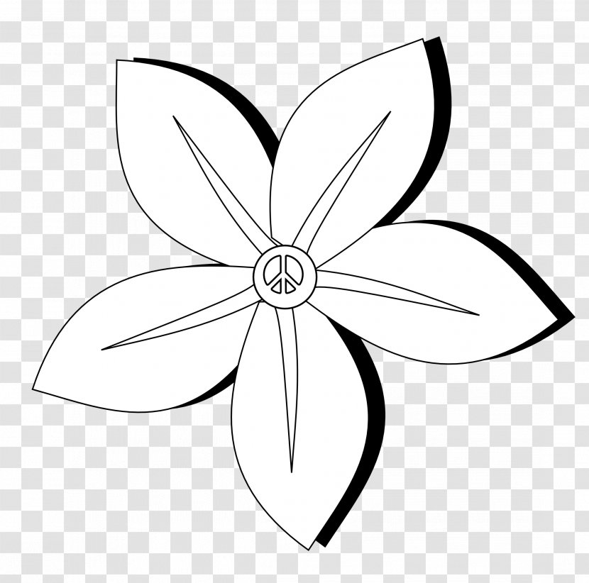 Drawing Line Art Monochrome - Flower - Jasmine Transparent PNG