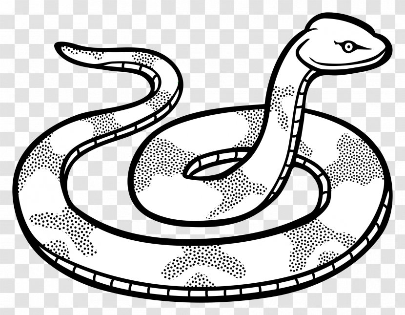 Snake Black And White Drawing Mamba Clip Art - Vertebrate - Snakes Transparent PNG
