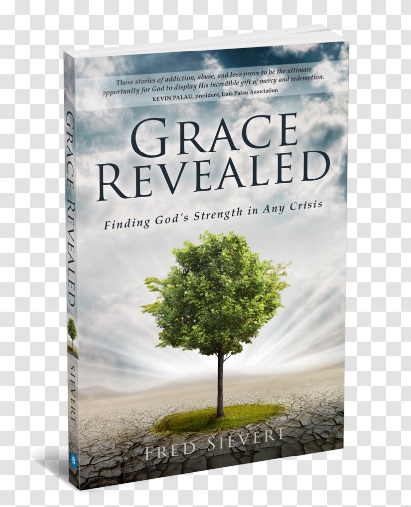 Grace Revealed: Finding God's Strength In Any Crisis God Revisit Your Past To Enrich Future Grace, Revealed Amazon.com Book - Christianity Transparent PNG