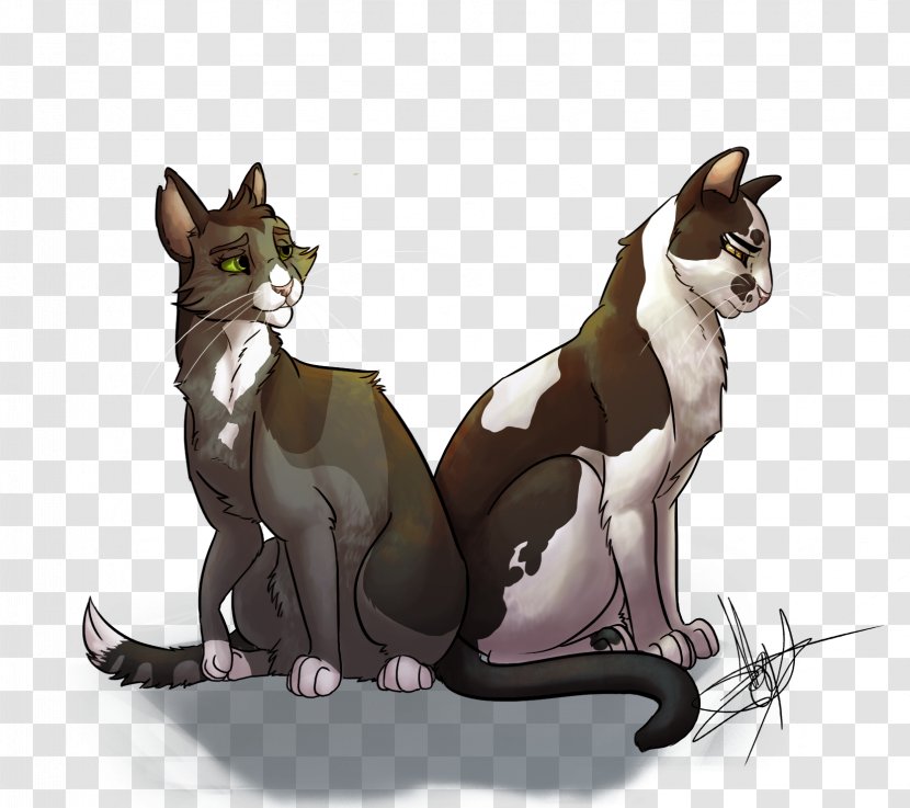 Warriors Cat Erin Hunter Book Jayfeather Transparent PNG