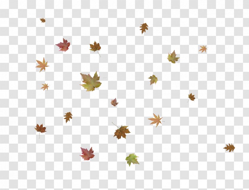 Leaf Photo Manipulation Tutorial - Autumn Leaves Transparent PNG