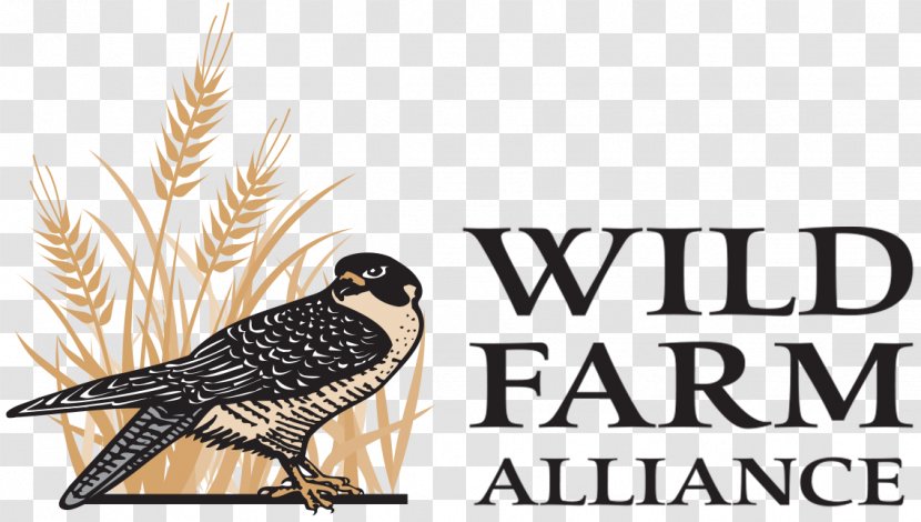 Owl Biodiversity Agriculture Wild Farm Alliance Conservation - Natural Resource Transparent PNG