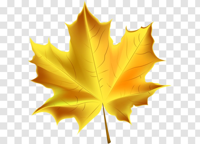 Autumn Leaf Color Clip Art - Gold Transparent PNG