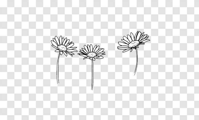 Drawing Flower Black And White Sketch - Petal - Cute Transparent PNG