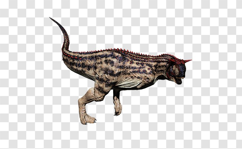 Carnotaurus Tyrannosaurus ARK: Survival Evolved Velociraptor Primal Carnage: Extinction - Carnivore - Dinosaur Transparent PNG