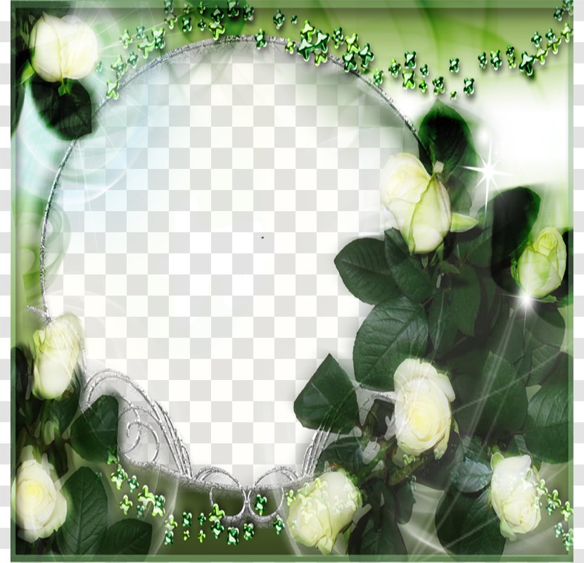 Beach Rose Green Floral Design White - Floristry - Frame Transparent PNG