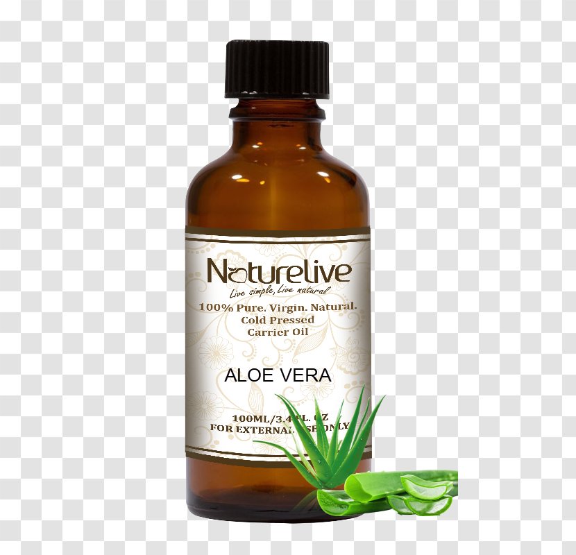 Carrier Oil Aromatherapy Essential Herb - Aloe Vera Transparent PNG