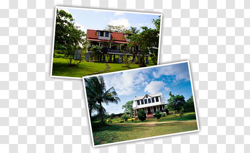 Suriname Hotel Country Tourism Vacation - Del Mar College Northwest Center Transparent PNG